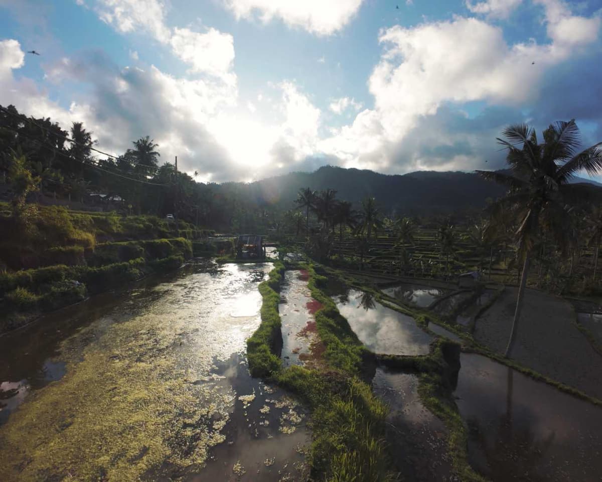 Rice terraces in Sidemen Valley with Mount Agung in the background