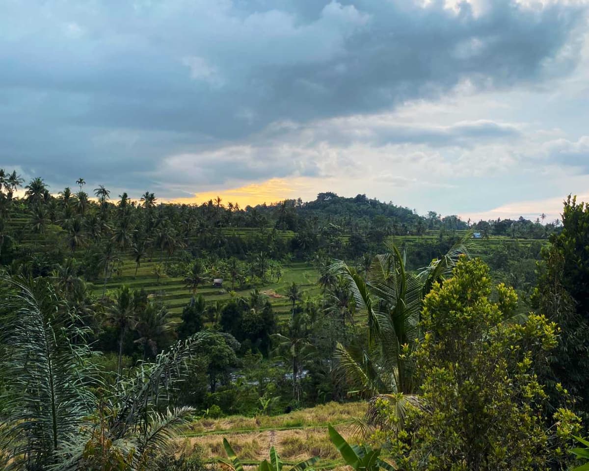 Misty mountain village of Sudaji with rice terraces and jungle hills