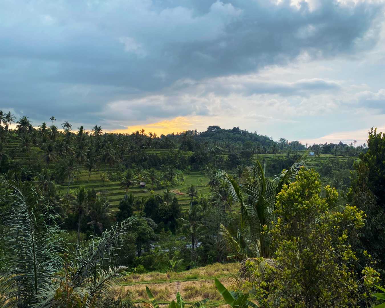 Misty mountain village of Sudaji with rice terraces and jungle hills